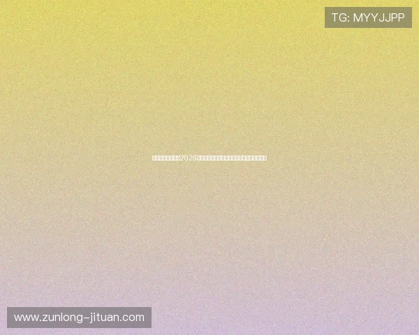 新西兰与比利时在2026世界杯中的比赛节奏调整与战术应对策略详解