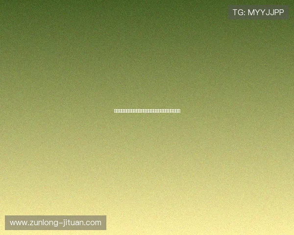 比利时与埃及控球率详细统计：世界杯比赛中的控球表现分析